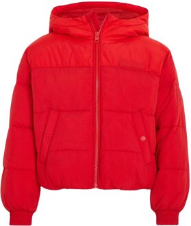 Tommy Hilfiger New york puffer Rood - 128