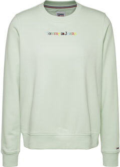 Tommy Hilfiger Reg serif color sweater Groen - XL