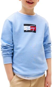 Tommy Hilfiger Script Flag Sweater Junior - 12