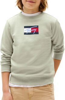 Tommy Hilfiger Script Flag Sweater Junior - 8