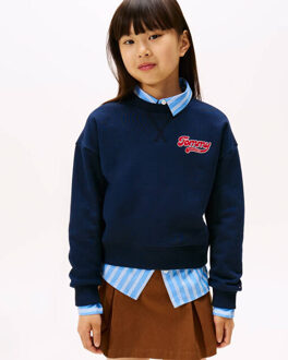 Tommy Hilfiger Sweat kg0kg08779 Blauw - 152