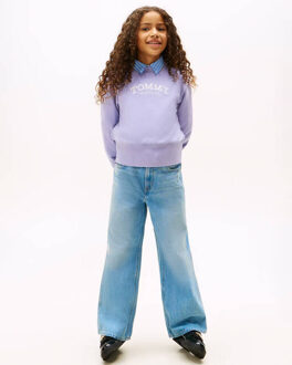 Tommy Hilfiger Sweat kg0kg08989 Paars - 164