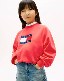 Tommy Hilfiger Sweat kg0kg09236 - maat 152 Rood