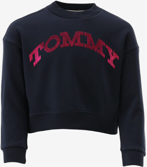 Tommy Hilfiger Sweater donker blauw - 116/6J