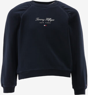 Tommy Hilfiger Sweater donker blauw - 92/2J;98/3J;104/4J