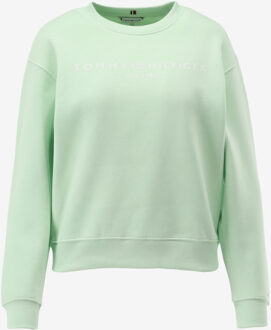 Tommy Hilfiger Sweater MDRN groen - M;L