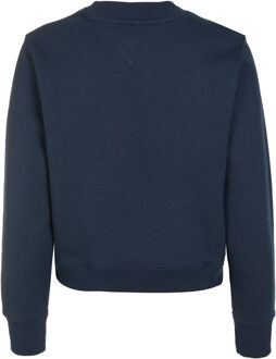 Tommy Hilfiger Sweater Tommy Jeans Dames Sweater Maat XS