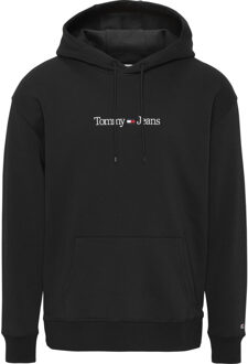 Tommy Hilfiger Sweater Tommy Jeans  TJM REG LINEAR HOODIE