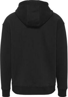 Tommy Hilfiger Sweater Tommy Jeans  TJM REG LINEAR HOODIE