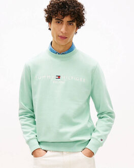 Tommy Hilfiger Sweatshirt mw0mw11596 Groen - XL
