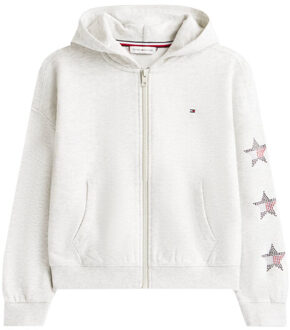 Tommy Hilfiger Vest kg0kg09129 Grijs - 164