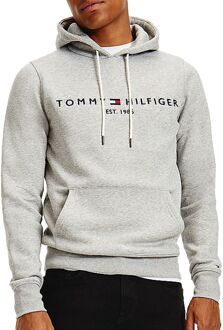 Tommy Logo Hoody  Sporttrui - Maat L  - Mannen - grijs