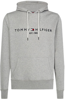 Tommy Logo Hoody  Sporttrui - Maat M  - Mannen - grijs