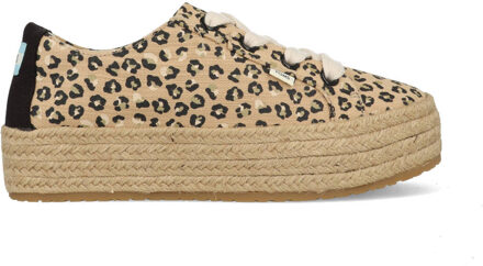 Toms Cheetah Cassiah 10016308 Bruin-36.5