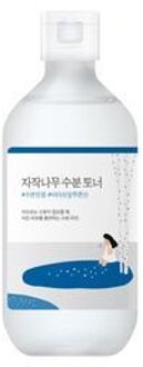 Toner Round Lab Birch Juice Moisturizing Toner 300 ml