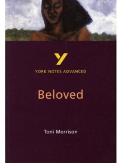 Toni Morrison 'Beloved': Everything You Need To Catch Up, Study And Prepare For 2025 Assessments - Laura Gray