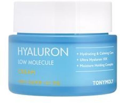 TONYMOLY Derma Lab Low Molecule Hyaluron 10X Cream 80ml