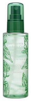 TONYMOLY Houttuynia Cordata Cica Quick Calming Mist Serum 110ml