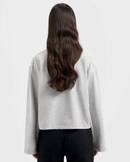 Top lange mouw w230202 Grijs