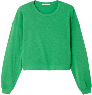 Top met lange mouwen Sonoma  groen - S,M,L,