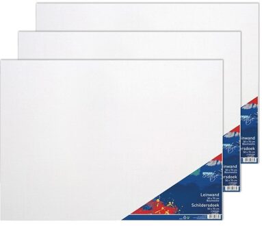 Toppoint 3x Schilders canvas doeken 50 x 70 cm - Schildersdoeken Wit