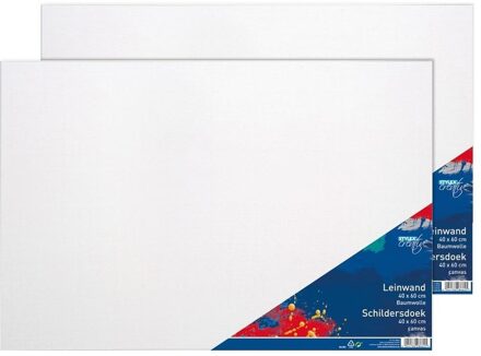 Toppoint Canvas schildersdoek - 2x - 40 x 60 cm - schilderen - doeken op frame Wit
