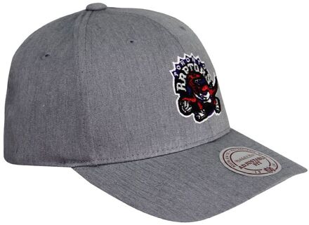 Toronto Raptors Heren Cap Grijs