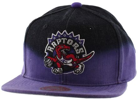 Toronto Raptors Heren Cap - maat Paars
