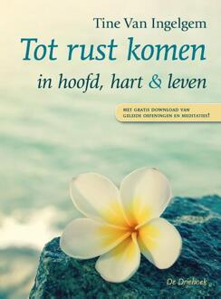 Tot rust komen - Boek Tine Van Ingelgem (9060307658)
