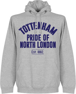 Tottenham Hotspur Established Hooded Sweater - Grijs