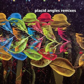 Touch The Earth Remixes - Placid Angles