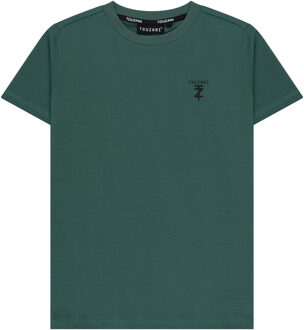 TOUZANI zomer t-shirt jongens - groen - Kigoi - Maat 122/128