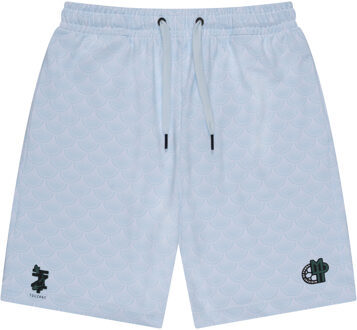 TOUZANI zomer voetbal short jongens - licht blauw - Hariwake - Maat 170/176