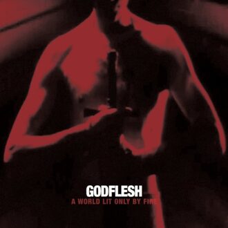 Tower A World Lit Only By Fire - Godflesh