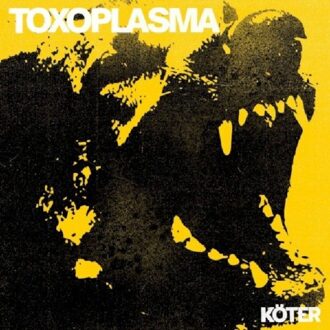 Toxoplasma - Koter