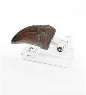 Toynami Jurassic Park Statue T-Rex Hand Claw 13 cm