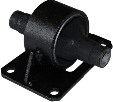 Toyota Aslichaam-/motorsteunlager EEM9221