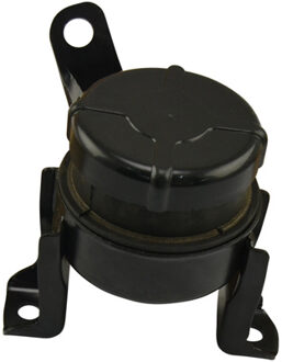 Toyota Aslichaam-/motorsteunlager EEM9223