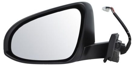 Toyota Buitenspiegel 5402011419310P