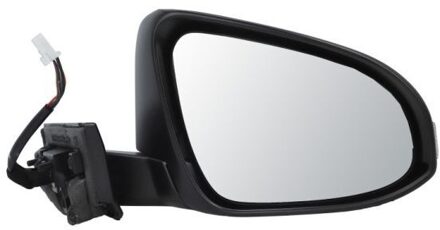 Toyota Buitenspiegel 5402011419311P