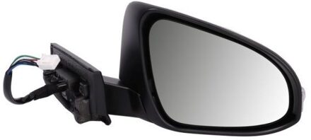 Toyota Buitenspiegel 5402011419313P