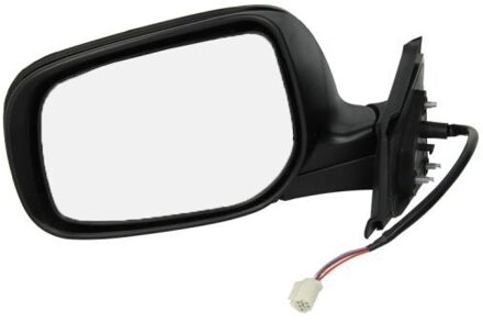 Toyota Buitenspiegel 5402041111217P