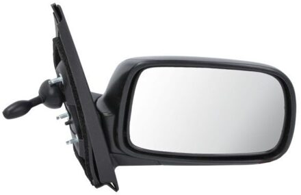 Toyota Buitenspiegel 5402041115219P