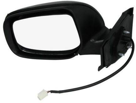 Toyota Buitenspiegel 5402041121219P