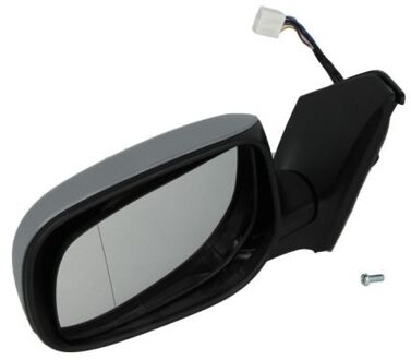 Toyota Buitenspiegel 5402041129218P