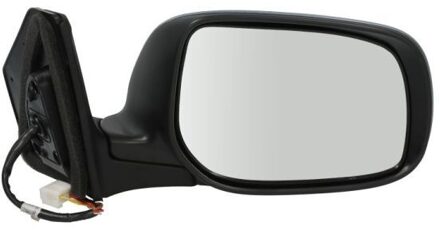 Toyota Buitenspiegel 5402041139218P