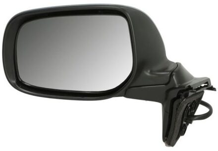 Toyota Buitenspiegel 5402041139956P