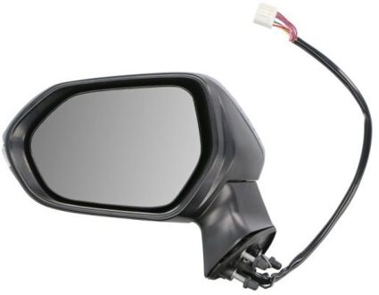 Toyota Buitenspiegel 5402042176310P