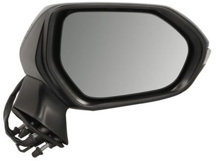 Toyota Buitenspiegel 5402042176311P