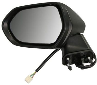 Toyota Buitenspiegel 5402042176314P